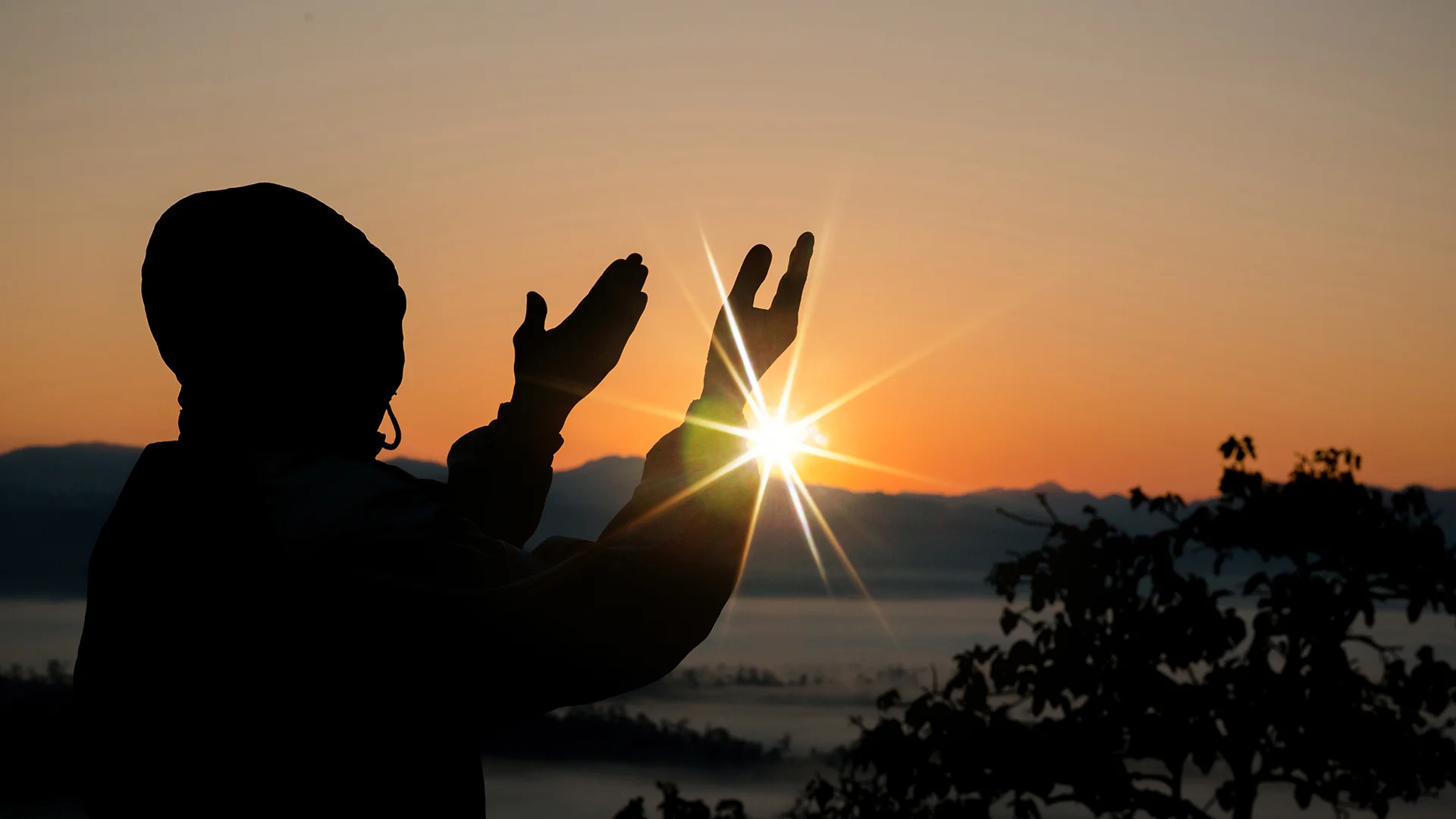 Human hands open palm up worship